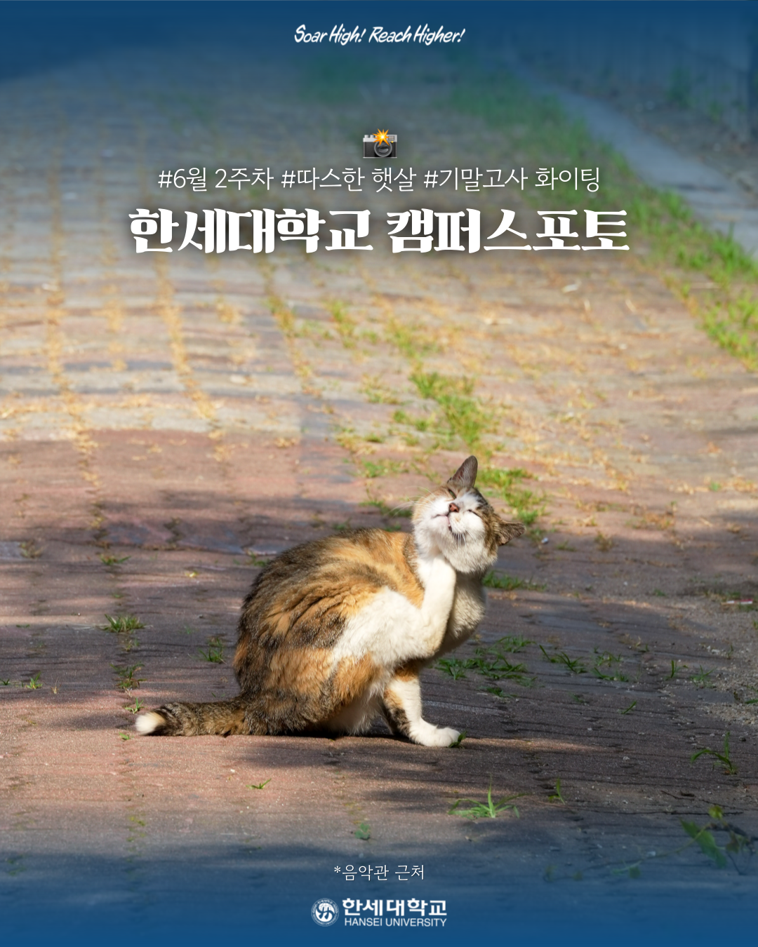 한세대학교 캠퍼스포토 : 2025년 6월 2주차 대표이미지