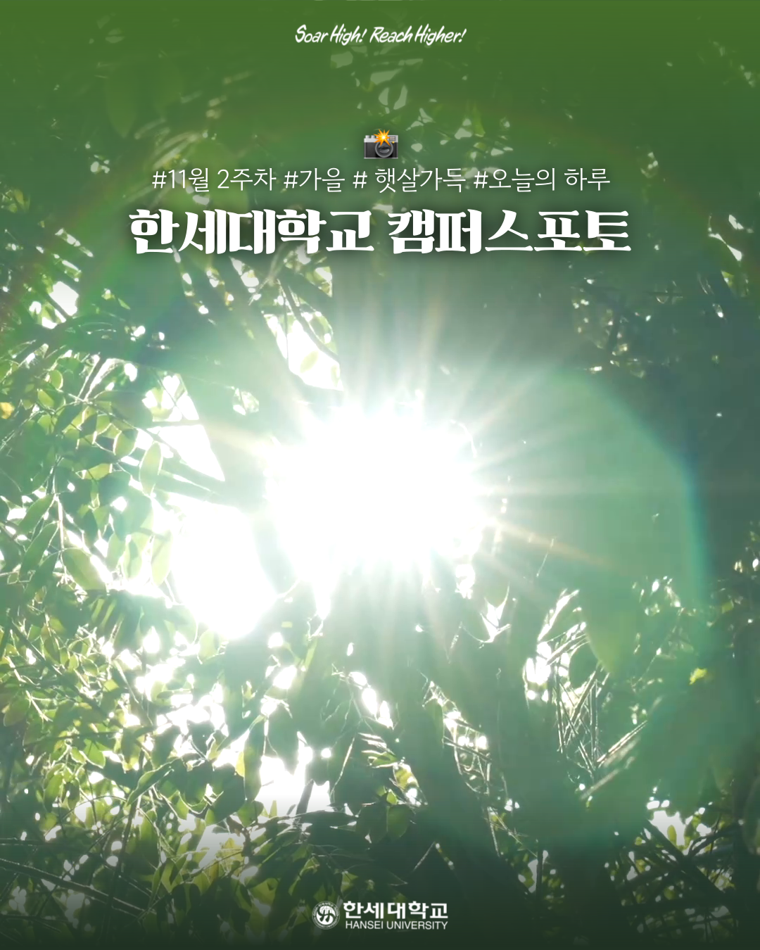 한세대학교 캠퍼스포토 11월 2주차 : 🍁 가을 오후, 한세의 여유 🍁 대표이미지