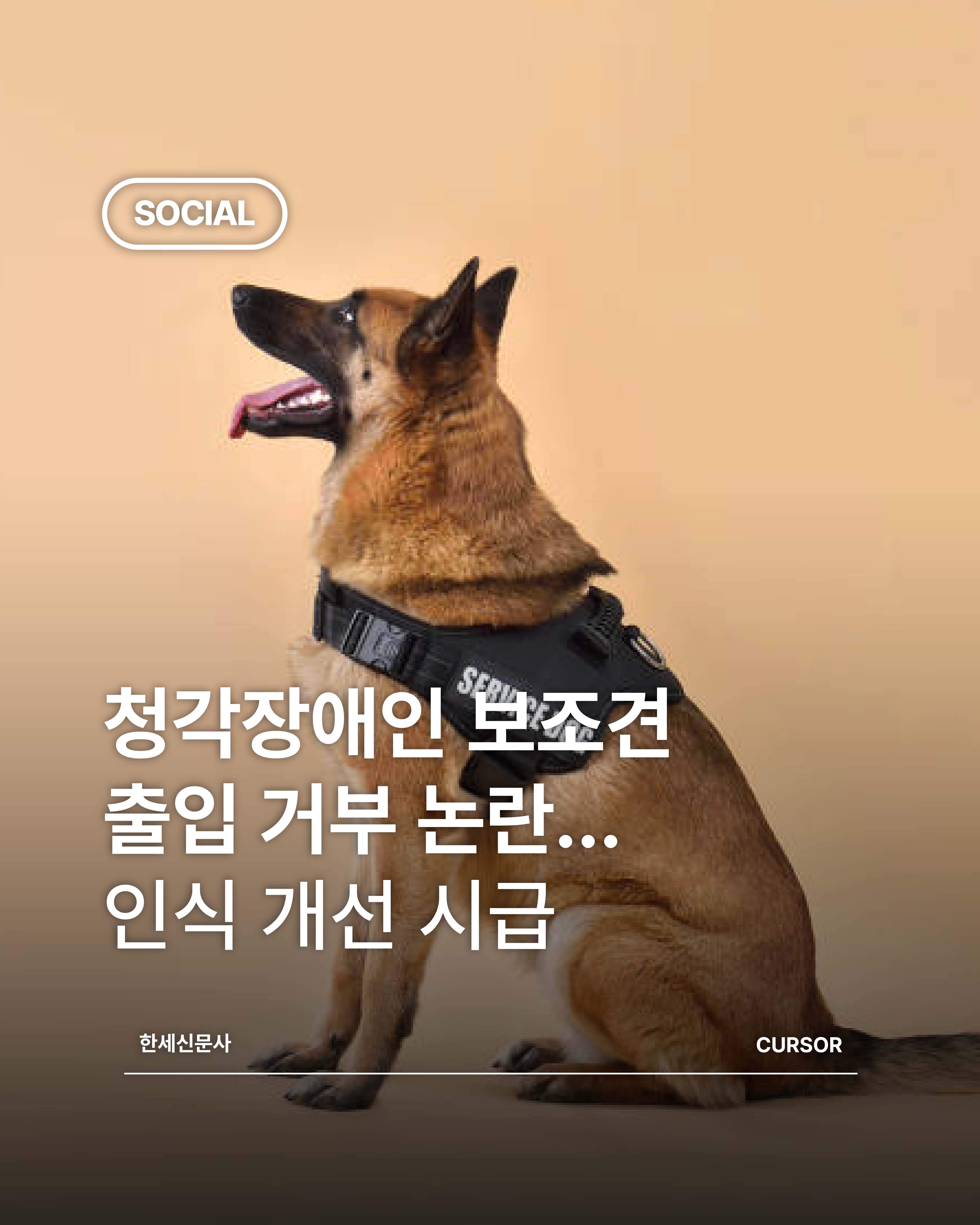 청각장애인 보조견 출입 거부 논란…인식 개선 시급 첨부 이미지
